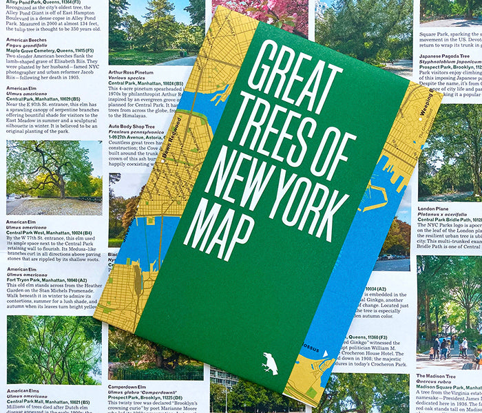 New York Maps Set