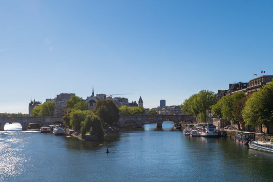 A walking tour of Paris through its great trees