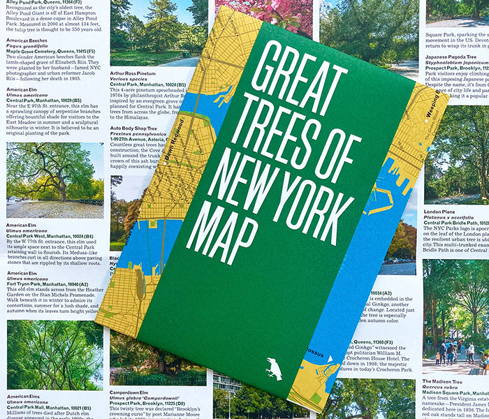 Great Trees of New York Map