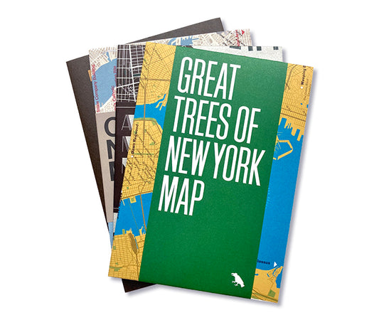 New York Maps Set